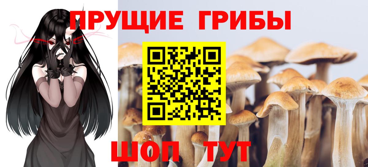 Галлюциногенные грибы мухоморы  наркота  Фрязино  Вход с VPN 